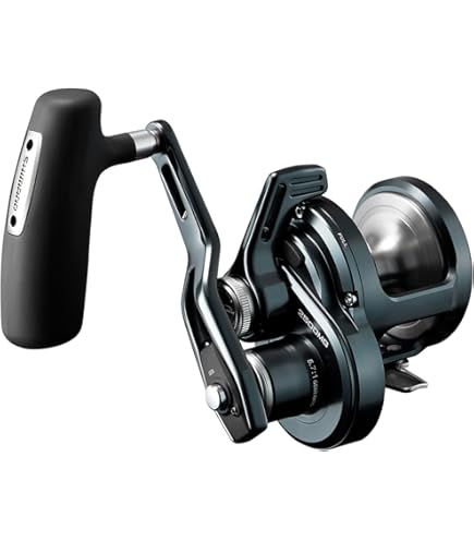 Amazon | ダイワ(DAIWA) ベイトリール ジギング/スロージギング 22